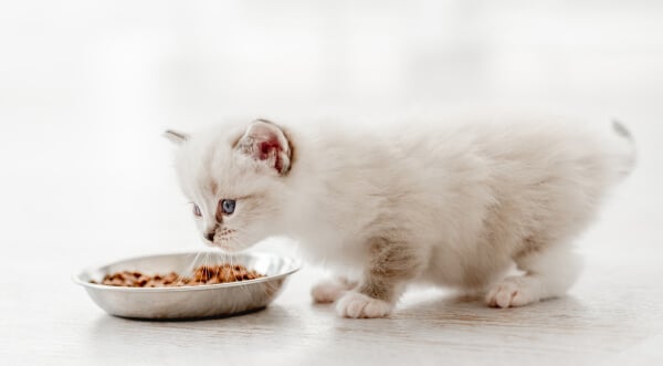 查看产品的男士