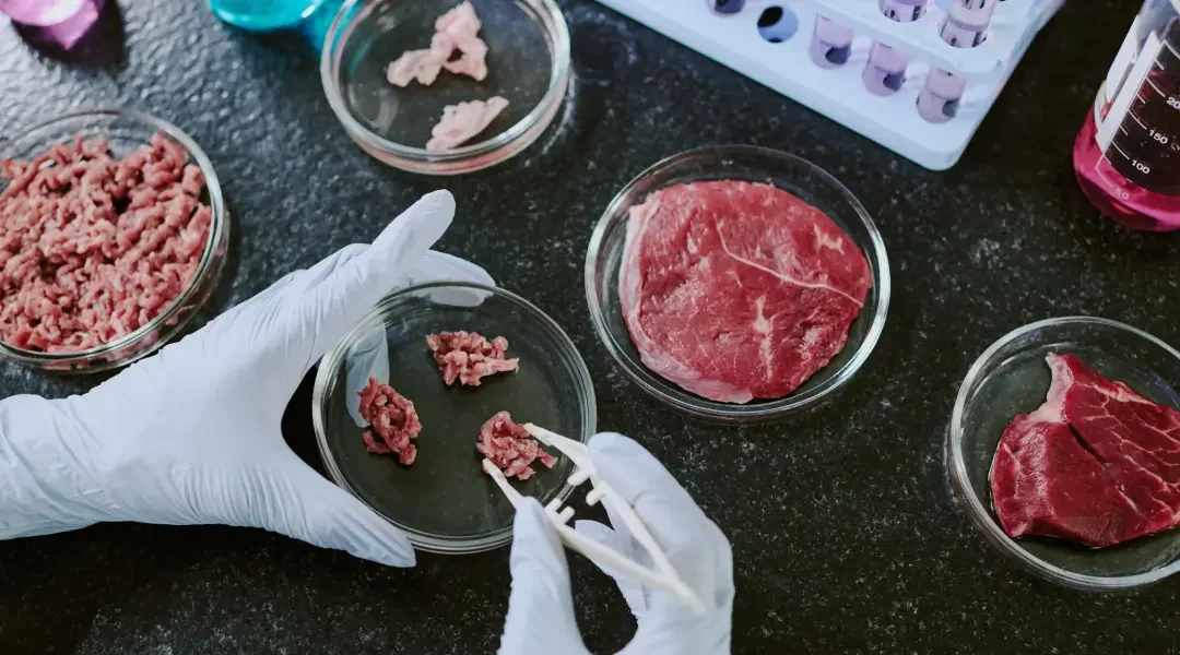 What is Lab-Grown Meat? A Comprehensive Scientific Guide