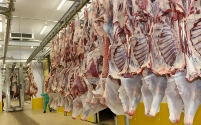 How to Get Your Slaughterhouse Approved for Halal Exports to Muslim Countries